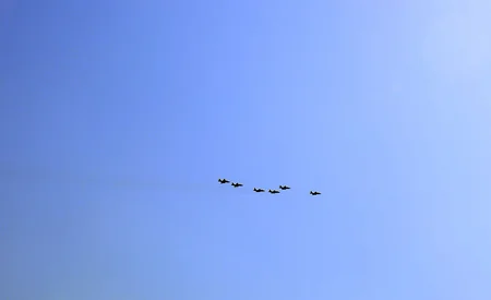 Şahinlərin Görüşü-2026 təliminin Yüksək Səviyyəli Müşahidəçi Günü keçirilib
