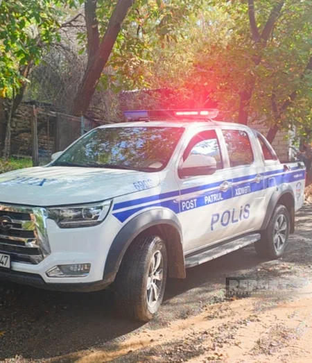 Sel Dırnısda 15 evin təsərrüfat sahəsinə ziyan vurub, heyvanlar tələf olub - Yenilənib