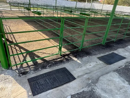 Şəmkirdə yeni heyvan satışı bazarı fəaliyyətə başlayıb