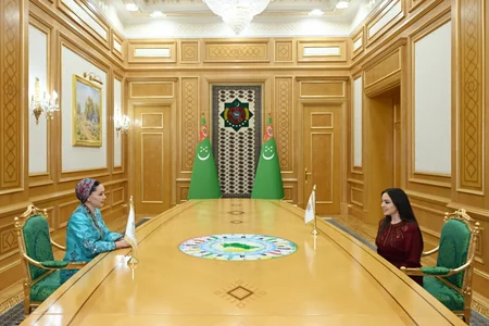 Leyla Əliyeva Arkadağ şəhərində Oğulcahan Atabayeva ilə görüşüb